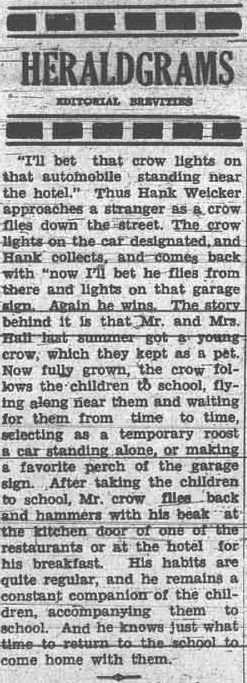 Grande Prairie Herald ~ February 1, 1935