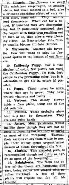 Grande Prairie Herald ~ April 8, 1924