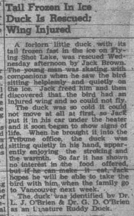 The Herald-Tribune ~ December 8, 1949